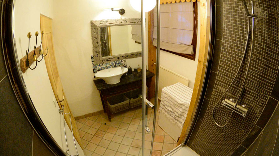 The ground floor shower room